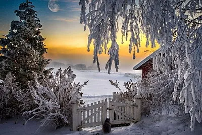 winter mood