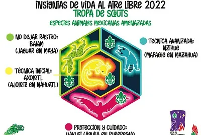 Insignias VAL Tropa