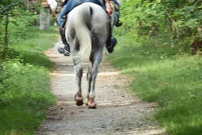 פאזל של in campagna