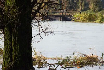 פאזל של fiume oglio