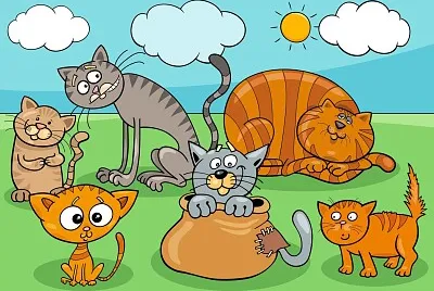 gatos jigsaw puzzle