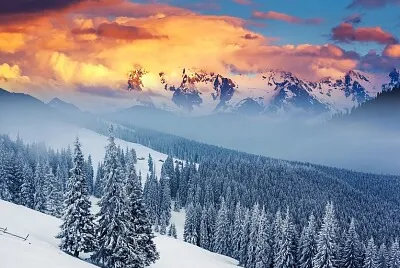 the slope