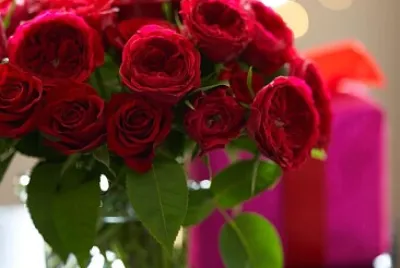flores