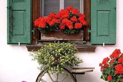 ventana jigsaw puzzle