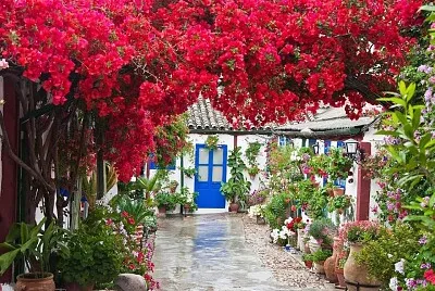 Córdoba (patio)