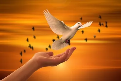 Entornos de Paz jigsaw puzzle
