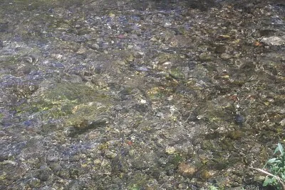 פאזל של acqua di fontanili