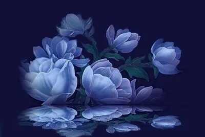 Petalos