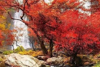 imagem jigsaw puzzle