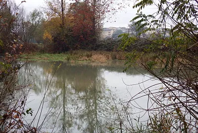 acqua morta