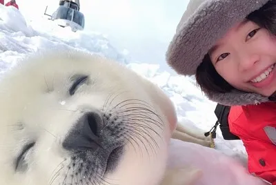 Foca