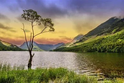 natureza jigsaw puzzle