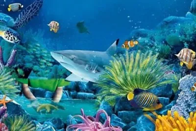 ecosistema acuatico