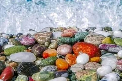 naturaleza