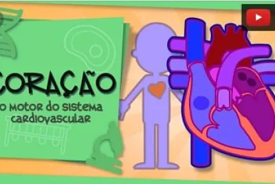 Sistema circulatório
