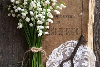 flores