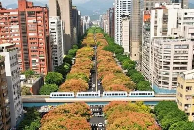 風景