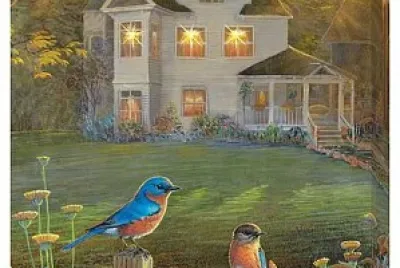 Home and bird