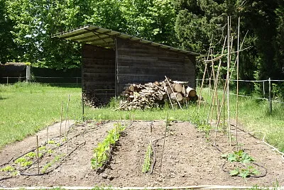 potager