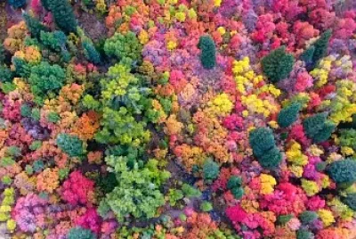 colorful