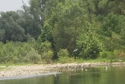 aironi jigsaw puzzle