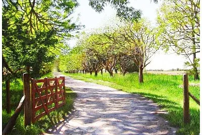 383- ENTRADA FINCA