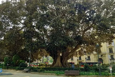 valencia 2020