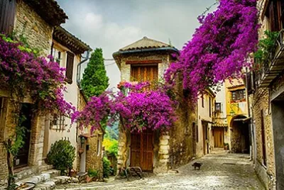 Village fleuri