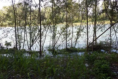 alberelli jigsaw puzzle