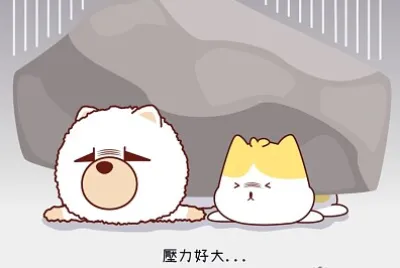星座小熊布魯斯