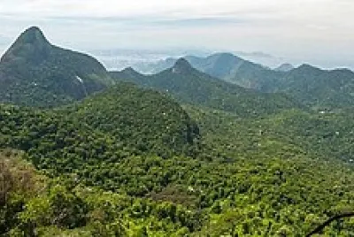 tujunga national forest jigsaw puzzle