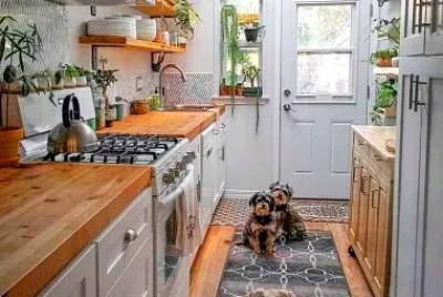 perro