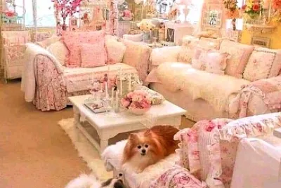 perro