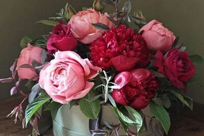 flores