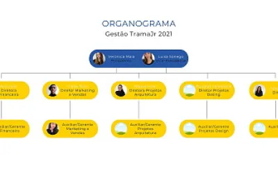 organograma teste