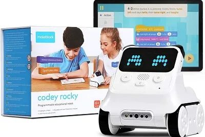 Codey Robot