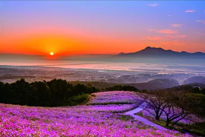 風景