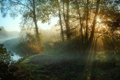 Autumn mists