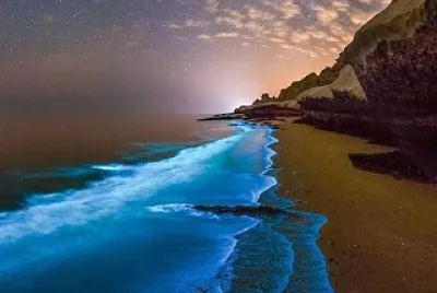 Bioluminescent beach