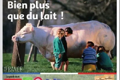 Pub Auchan