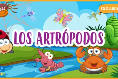 artropodos
