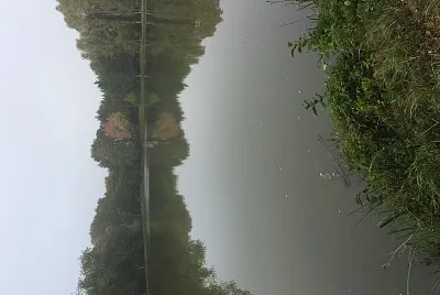 Lac