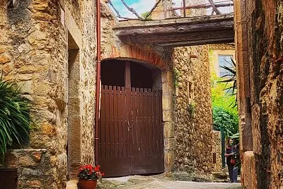 Pals medieval