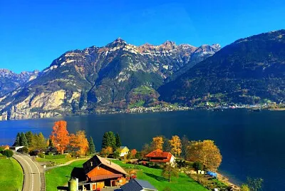 NATUREZA jigsaw puzzle