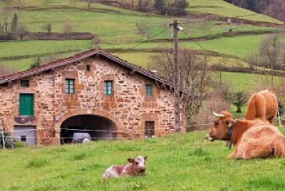 Valle de Atxondo-Euskadi