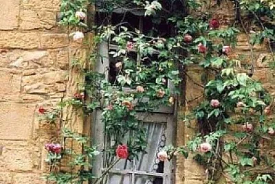 ventana