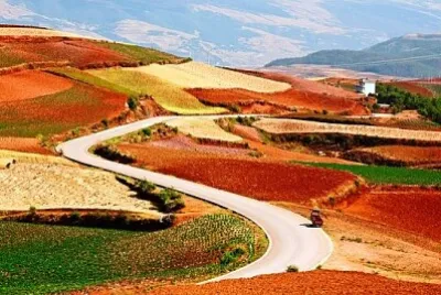 Caminos y naturaleza jigsaw puzzle