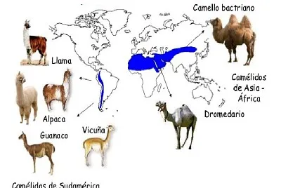 Evidencias biogeográficas