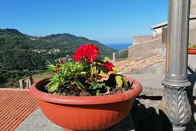 פאזל של Sangineto, coloriamo il borgo2