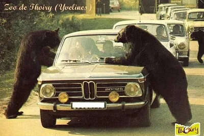 Zoo de Thoiry (Yvelines)
